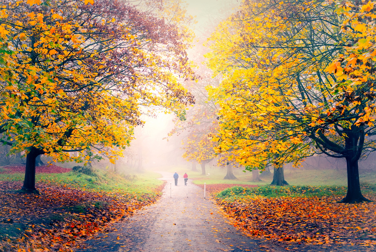 Sustainability is a bottom-line issue for all businesses